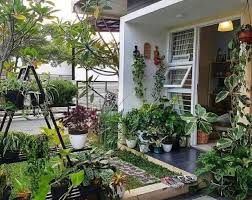 Membuat-Eksterior-Rumah-Lebih-Hidup-dengan-Tanaman-Hias
